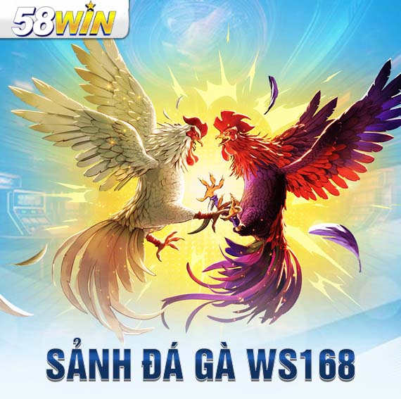 đá gà 58win