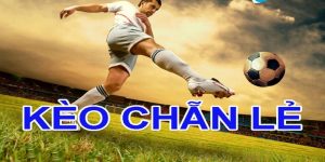 Kèo chẵn lẻ cho bet thủ được thử thách khả năng dự đoán